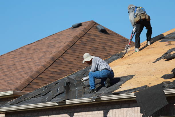 Best Solar Panel Roofing Installation  in Rosita, TX