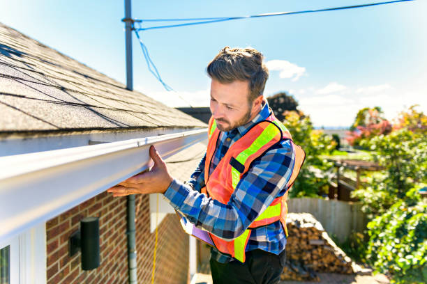 Best Chimney Flashing Repair  in Rosita, TX